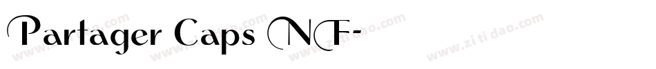 Partager Caps NF字体转换